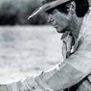 Medzi najslávnejšie filmy Charlesa Bronsona patria Sedem statočných a Vtedy na Západe.