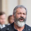 Mel Gibson