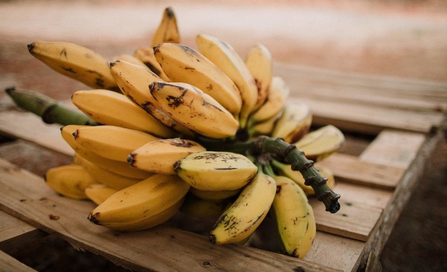 Banány obsahujú celý rad zdraviu prospešných živín, ktorých účinok je nielen vidieť, ale aj cítiť. Hneď v úvode však pripomíname, že ...