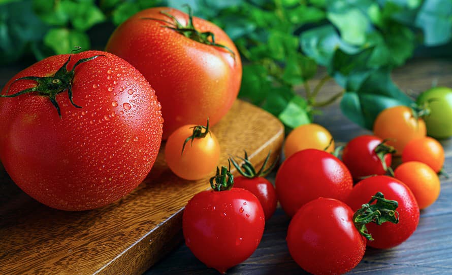 Zahryznúť sa do šťavnatej a čerstvo odtrhnutej paradajky z vlastnej záhrady je pre niektorých ľudí gastro rozkoš prvého stupňa. Väčšina ...