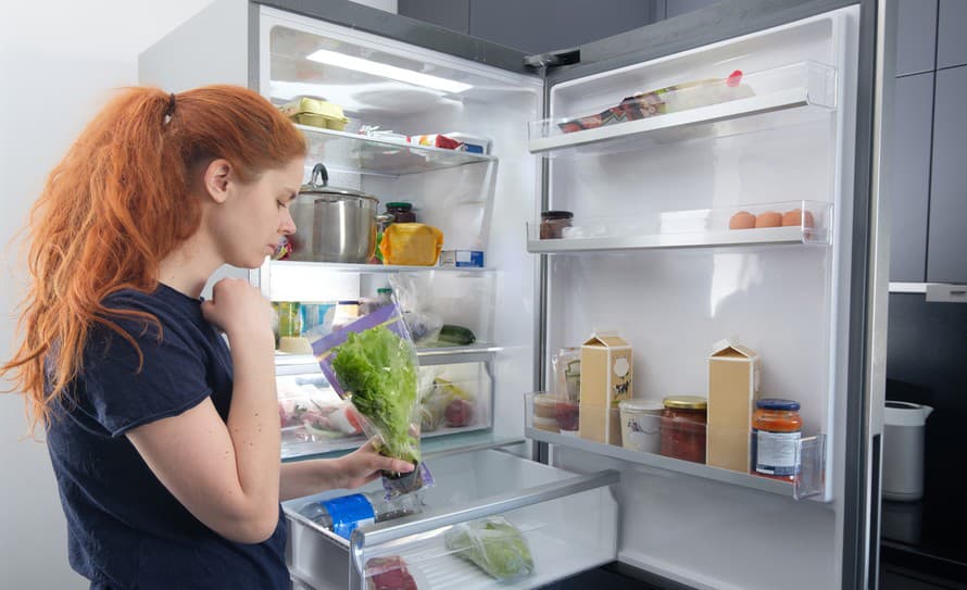 Pokiaľ umývate chladničku častejšie, než je vám milé a dôvera k schopnostiam mrazničky sa pomaly vytráca, pomôžu vám naše tipy.