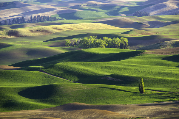 Americký región Palouse patrí medzi najfotogenickejšie oblasti na svete.