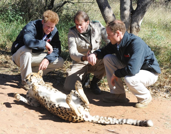 Princ Harry a William na dovolenke v Botswane