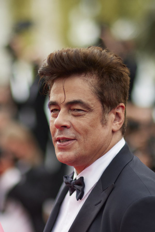 Benicio Del Toro