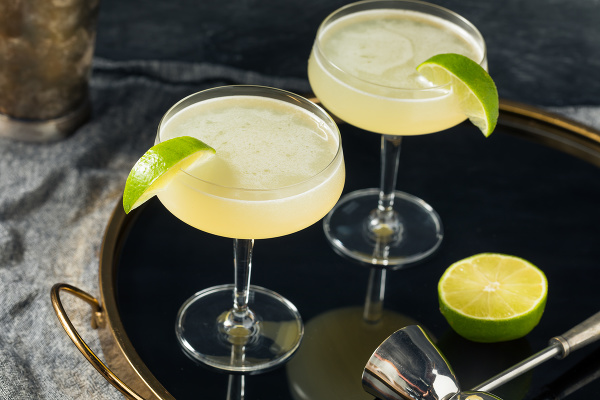 Gimlet Cocktail 