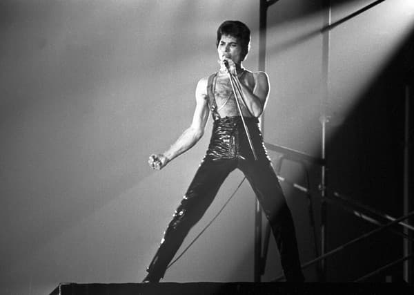Freddie Mercury zomrel 24. novembra 1991.