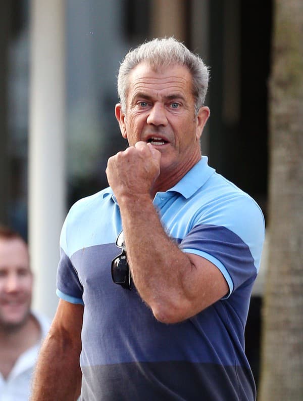 Mel Gibson 