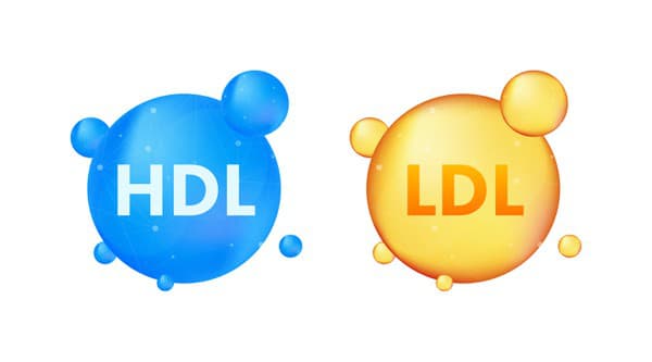 Cholesterol rozdeľujeme na HDL (dobrý) a LDL (zlý). U oboch si treba sledovať hladinu. 