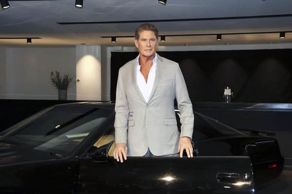 David Hasselhoff 