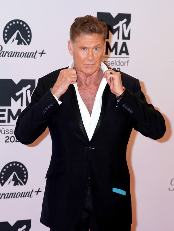 David Hasselhoff 