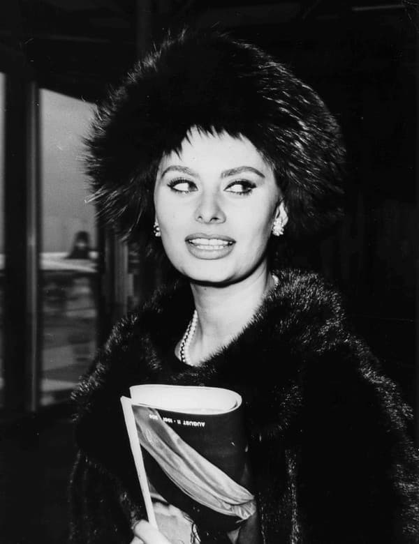 Sophia Loren