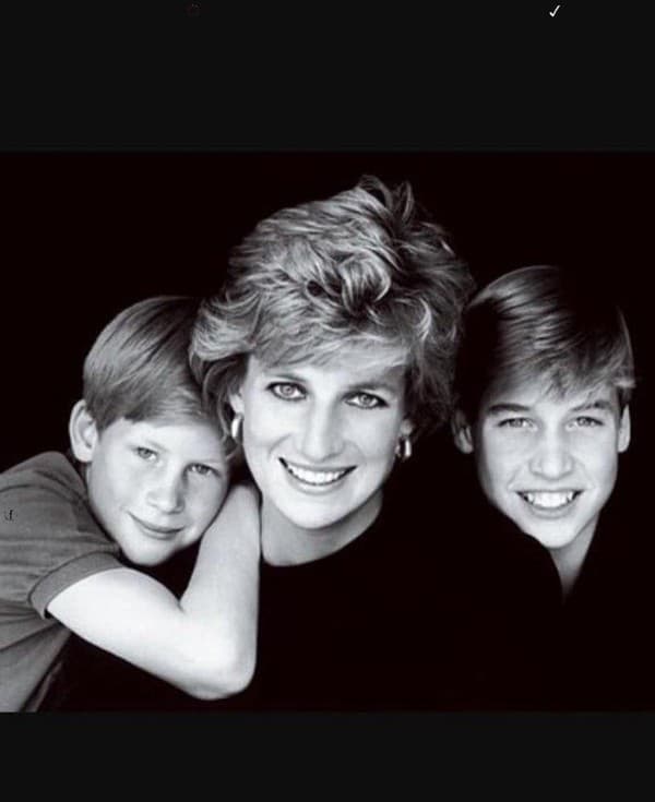 Harry, Diana a William