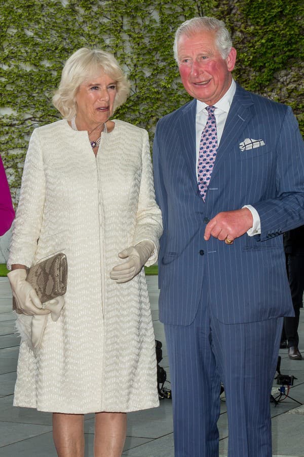 Charles a Camilla Parker Bowles tvoria v súčasnosti harmonický pár. 